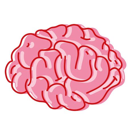 Human Brain Anatomy To Creative And Intellect 655805 Vector Art At Vecteezy