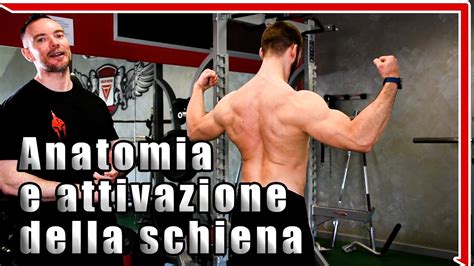 Allenare La Schiena In Palestra Anatomia Funzionale Ed Esercizi Di