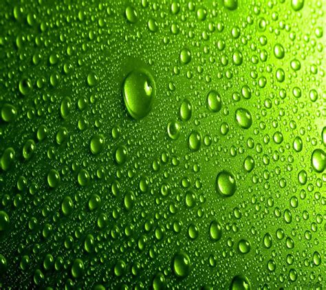 Green Water Drops Wallpaper By Xlalitx 9f Free On Zedge™
