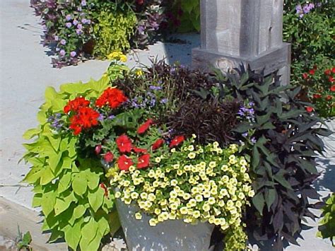 Gardening In Gwinnett Container Gardening Is An Option For Those With
