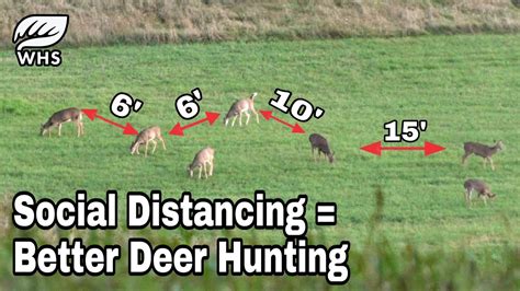 understanding social distancing for better deer hunting youtube