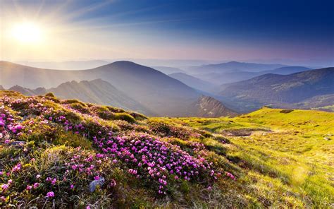 Flowers Mountainslove Smell Nature Sky Landscapes Hd