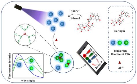 Chemosensors Free Full Text Carbon Dots Fluorescence Based
