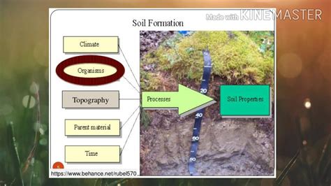 Weathering is considered as a destructive one and helps to change the consolidated rocks and minerals into unconsolidated material (parent material) whereas second phase of soil formation is considered as a constructive process and develops the soil. Soil geography|🌱unit 1- factors of soil formation.🌱 - YouTube