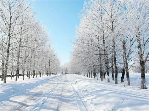 Snowy Road Winter Scenery Hd Wallpaper 1200x900 Download