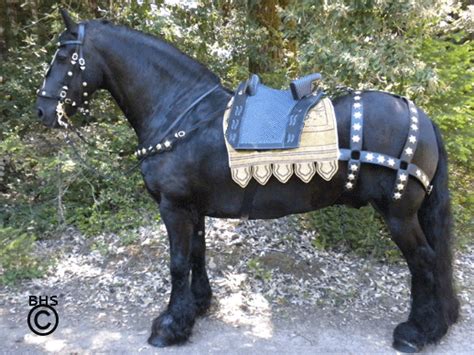 Equine Designs Friesian And Baroque Horse Store