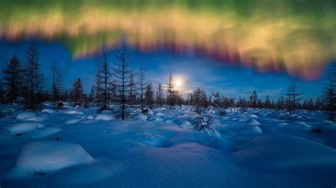 Desktop Wallpaper Winter Aurora Borealis Northern Lights Hd Image