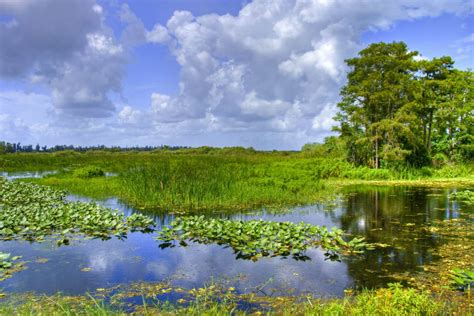 Everglades Nationalpark In Florida Usa Franks Travelbox