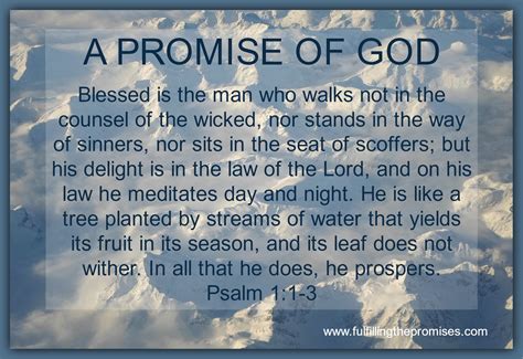 Promise Of God 146