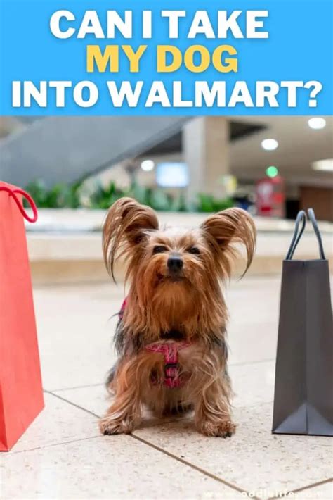 Are Dogs Allowed In Walmart Stores