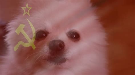 Gabe The Dog Soviet Barks Candc Red Alert Youtube