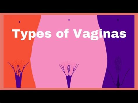 The Types Of Vagina And Their Characteristics Medical