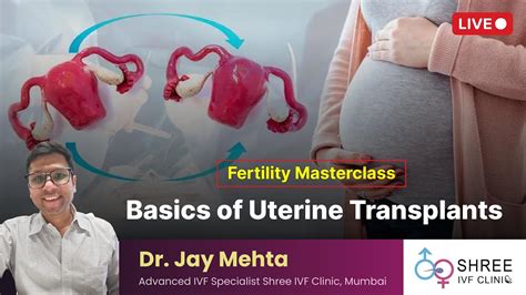 Fertility Masterclass 54 Basics Of Uterine Transplants Youtube