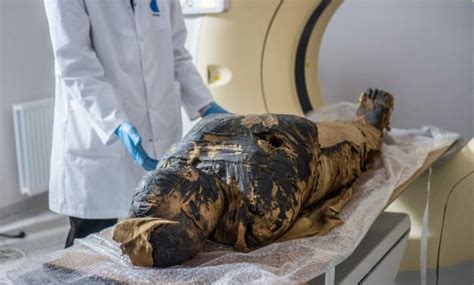 world s first known pregnant egyptian mummy was uncovered in poland egypttoday