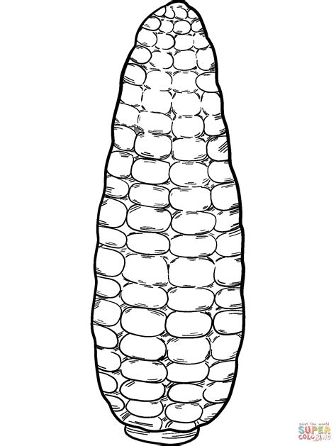Corn Coloring Page Free Printable Coloring Pages