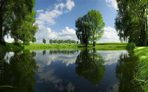 壁纸 阳光 树木 景观 森林 花园 湖 性质 反射 公园 绿色 早上 河 夏季 池塘 湿地 叶 草地