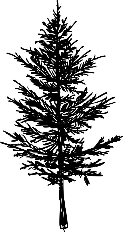 5 Pine Tree Silhouette Drawing (PNG Transparent) | OnlyGFX.com png image