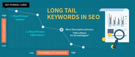 Importance Of Long Tail Keywords In Seo Pattronize Infotech