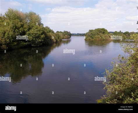 Attenborough Nature Reserve Nottinghamshire Stock Photo Alamy