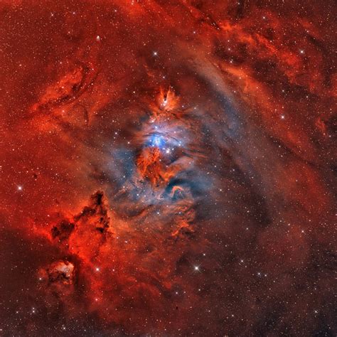 The Cone Nebula Christmas Tree Star Cluster And The Fox Fur Nebula In