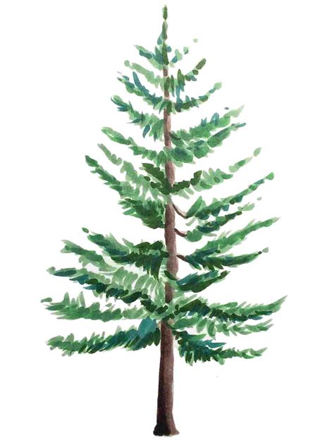 Simple Pine Tree Drawing At Explore Collection Of