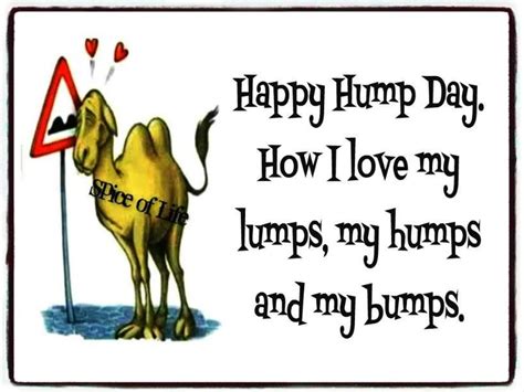 Happy Hump Day Dirty Pics Dirty Hump Day Hump Day Dirty