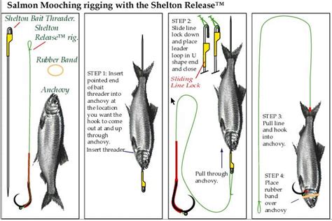 How To Tie A Salmon Mooching Rig Salmon Fishing Kayak Fishing Tips