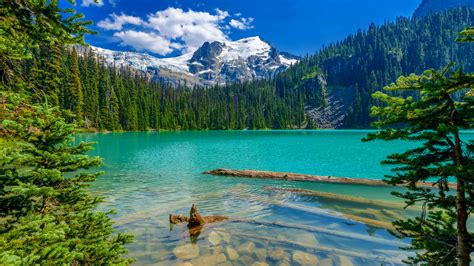 Green Lake Whistler Consejos Antes De Viajar Fotos Y Reseñas