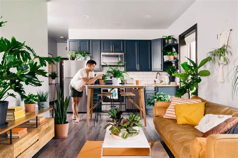 Best Plants For Your Apartment Bloomscape