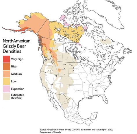 Grizzly Bear Territory Map