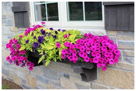 When planning for a window box, the number one consideration is sun and shade. colorful full sun planters - Google Search | Outdoor ...