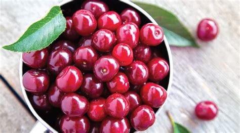 Tart Cherry Health Benefits Life Extension