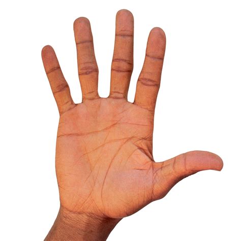 Jordan's hands were 9 and 3/4 in length (ny times article) in case you cared to know the wrist to finger tip measurement. Michael 'Air' Jordan: hands of a basketball superstar!