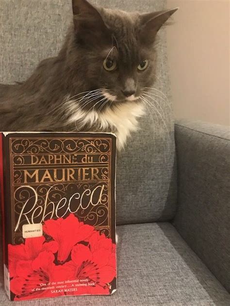 Review Of Classic Novel Rebecca By Daphne Du Maurier