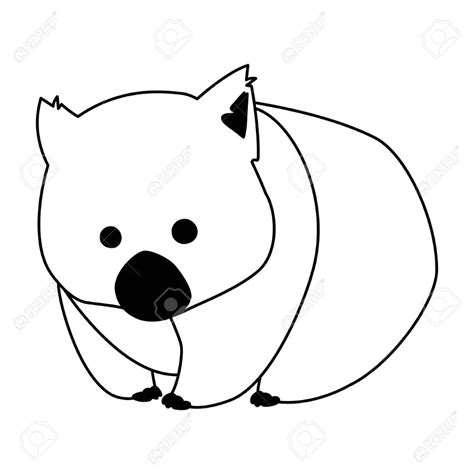 Cute Australian Wombat On White Background Vector Illustration Design