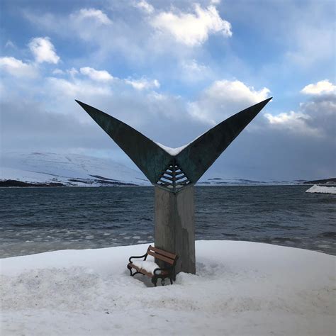 Things To Do In Akureyri In Winter Ladies What Travel