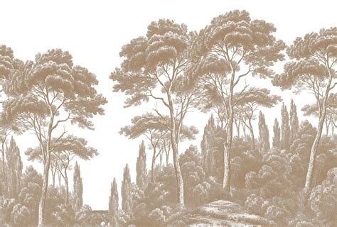 Papier Peint Panoramique Ananbô Pins Et Cyprès Grisaille Sepia