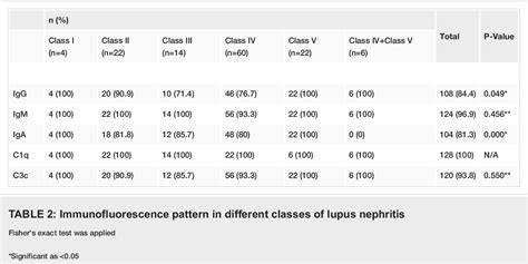 Table 2 From Spectrum Of Morphologic Features Of Lupus Nephritis