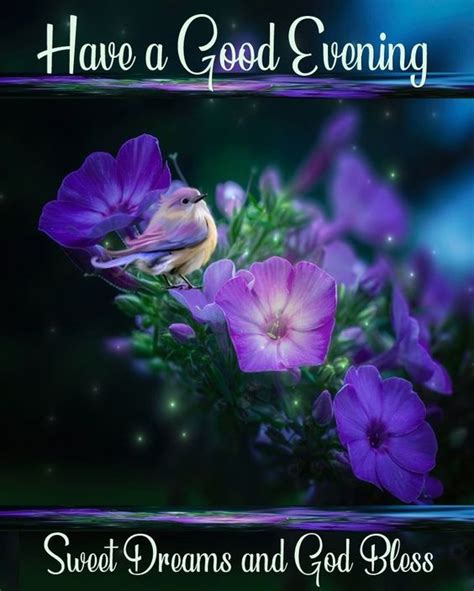 Glowing Flower Good Evening Quote Pictures Photos And Images For