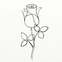 Medicii antici spuneau ca trandafirul este un medicament universal. Wasii: Flori De Desenat In Creion