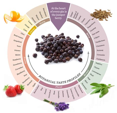 Most Common Gin Botanicals Craft Gins Gin And Tonic