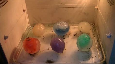 Microwaving Frozen Orbs Frozen Water Balloons Youtube