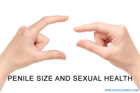 Testicular Size And Fertility