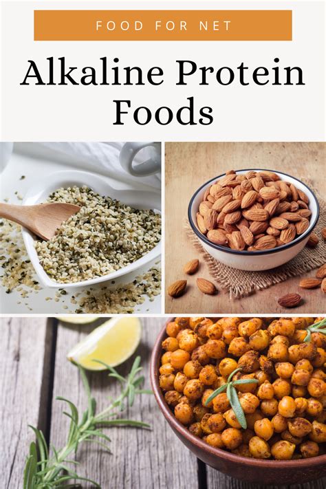 Alkaline Protein Foods So That You Stay Satisfied Food For Net