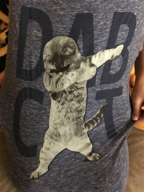 My nephew's shirt features a dabbing cat, the 'DAB CAT'. My nephew also ...