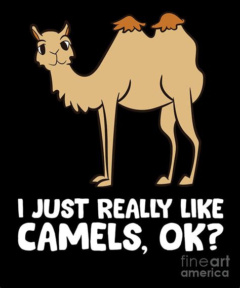 I Just Really Like Camels Okay Funny Camel Digital Art By Eq Designs
