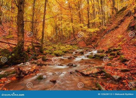 Rapid Mountain River In Autumn Stock Image Image Of Environment