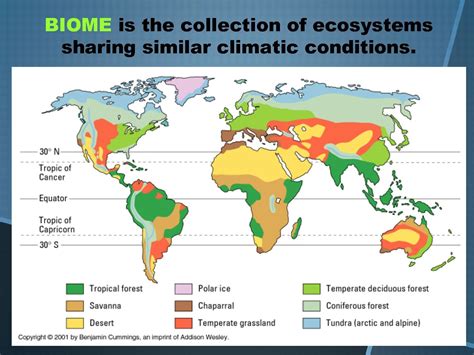 Pin By Aryanka Patra On Env Geography Temperate Deciduous Forest