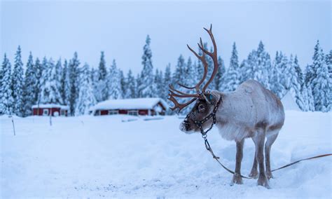 Category Kiruna › Way Up North