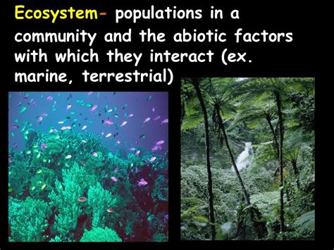 Ecology Notes Ppt